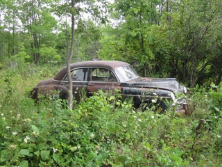 Illustration for article titled Wisconsin Rust Trip Redux: '50 Chevy Still In The Woods